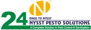 Nysst Pesto Services Pune